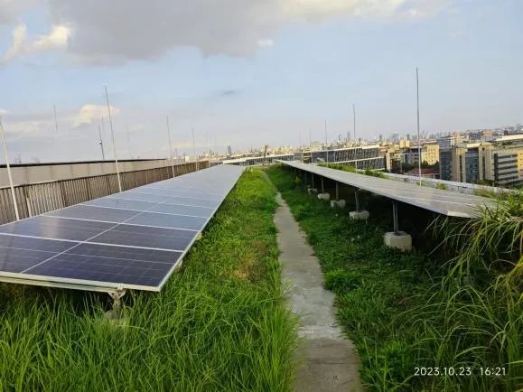 上海市長寧區公共建筑節能降碳管理機制構建實踐