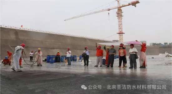 丙綸卷材的創新先鋒——圣潔防水董事長杜昕