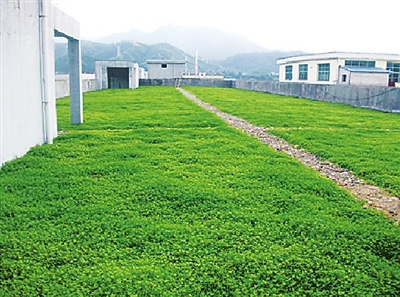 江西全南縣——屋頂搞綠化 節地又環保