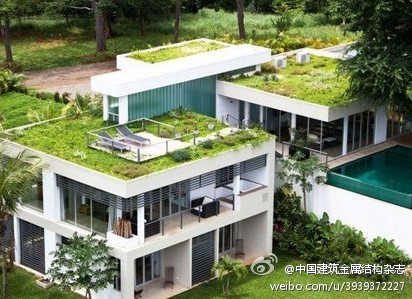 點擊查看原圖大小